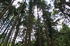 camp30 (157)_thumb.png